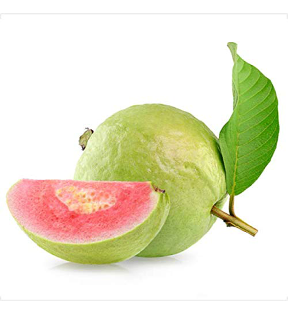 8.indian red guava