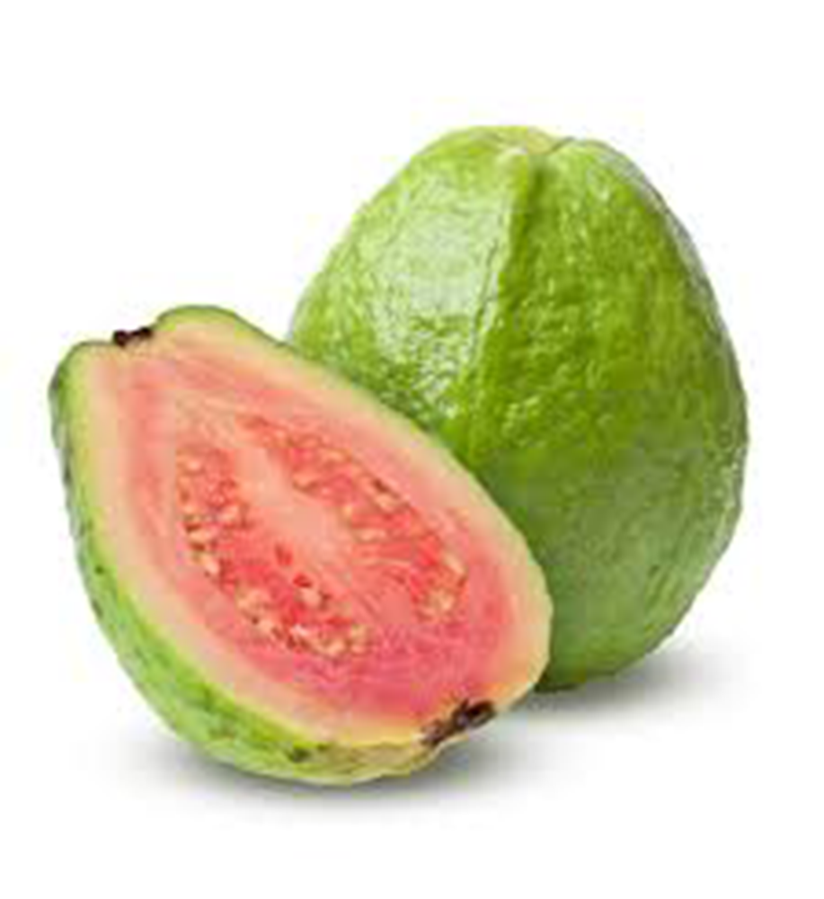 9.indian red guava 2