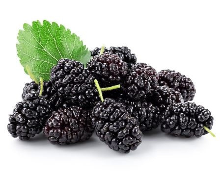 Black Mulberry