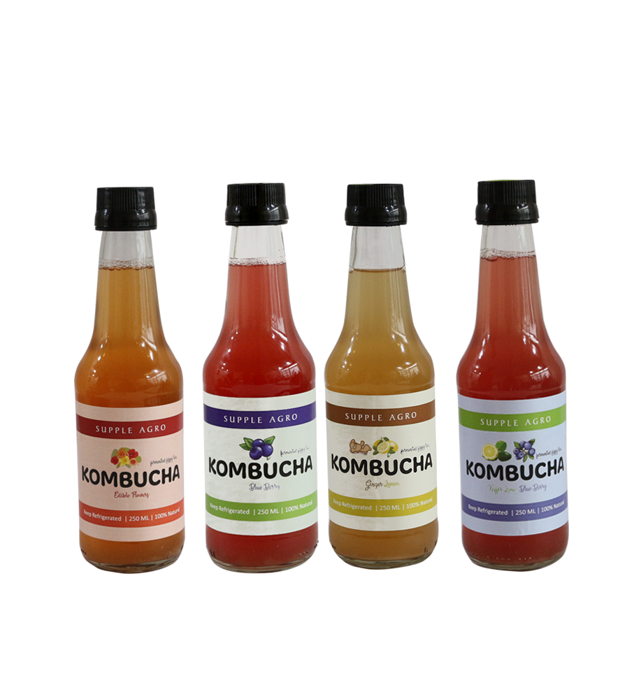 COMBO1 kombucha pack