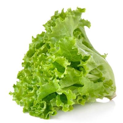 Green_lettuce_400x