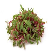 Microgreen_Beetroot