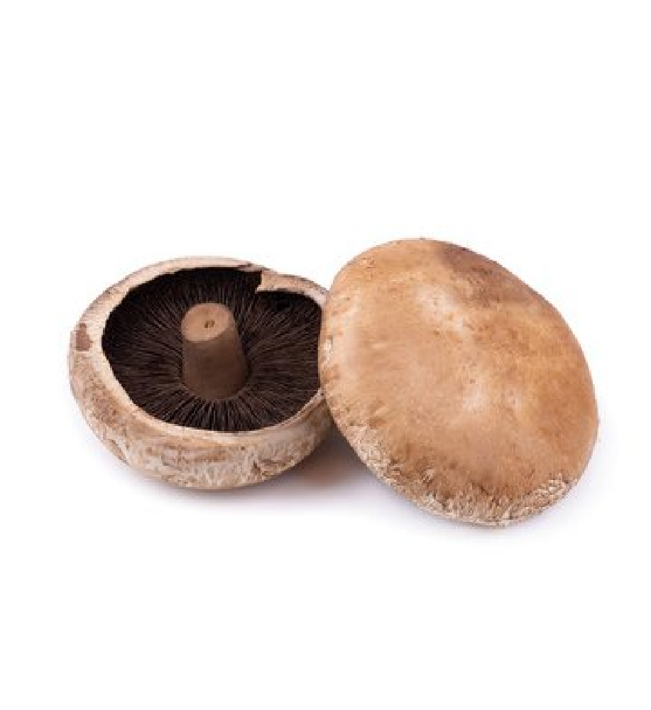 Portobello-Mushroom