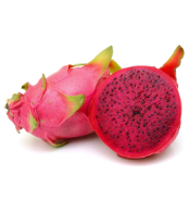 Red-Dragon-Fruit-Plant-Pitaya-Peppyflora-Product-01-a-moz