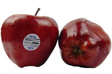 Apple Washington 500g