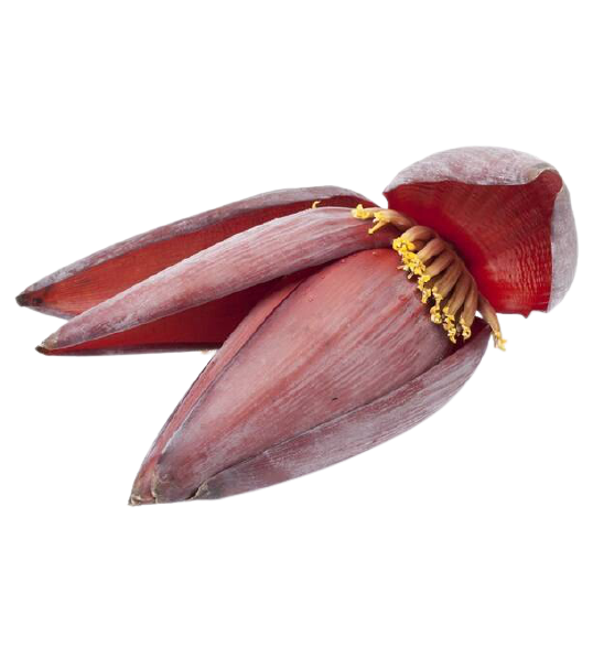 banana flower