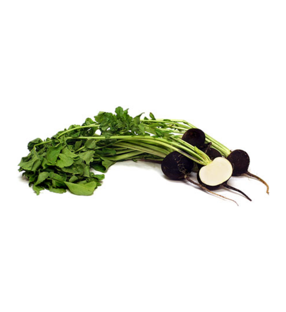 black radish