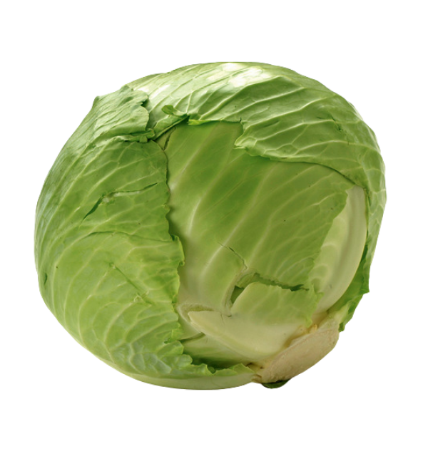 Cabbage