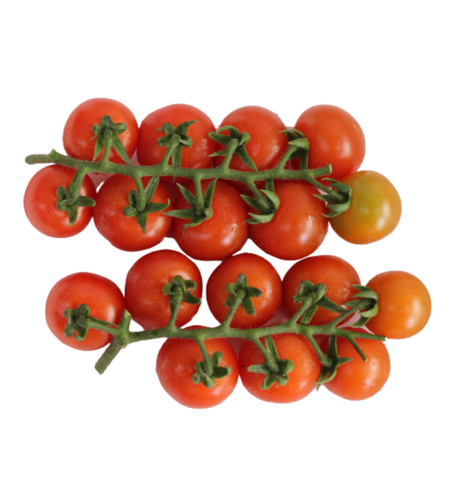 cherry_tomato_on_vine