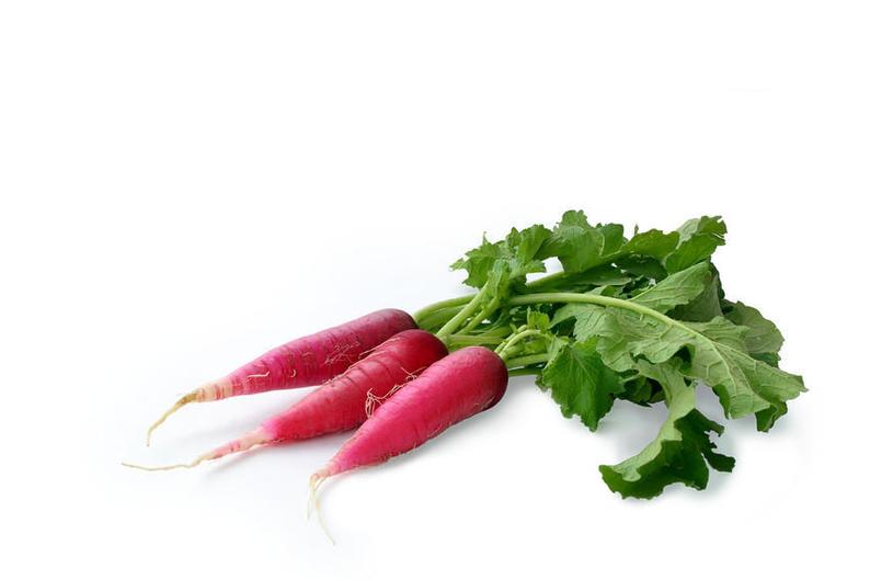 china radish