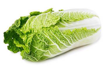 chinese cabbage