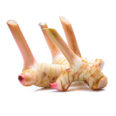 galangal1_400x