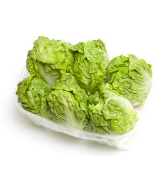 lettuce gem