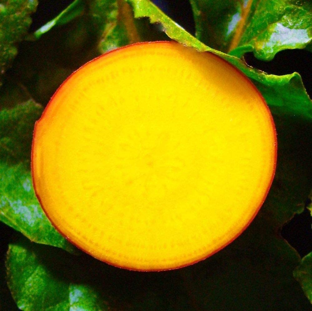 golden beetroot 2