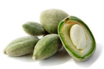 green almonds