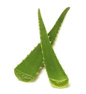 green-aloe-vera-leaf-2