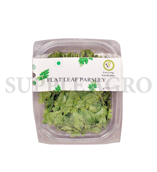 italianflatparsley_2-e1594558039705