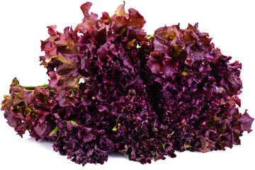 lettuce red