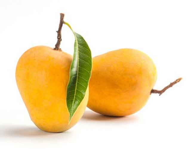 mango-alphonso