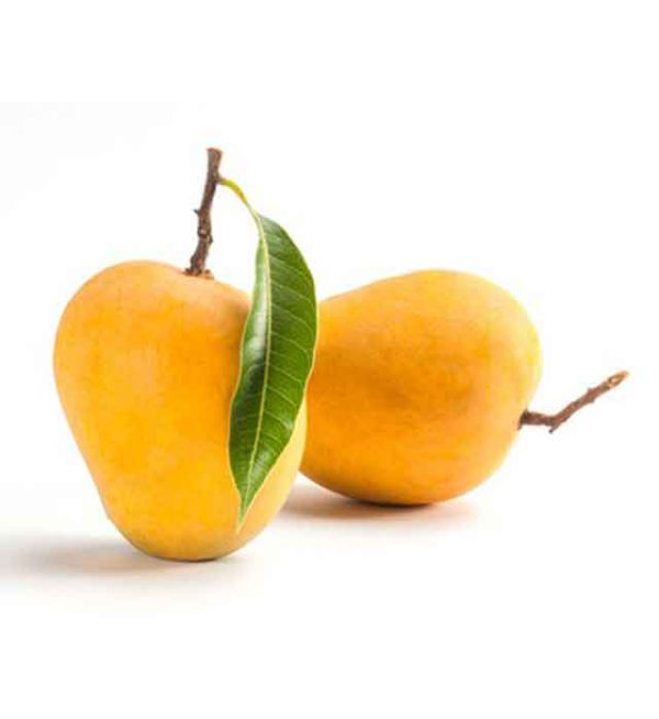 mango-alphonso