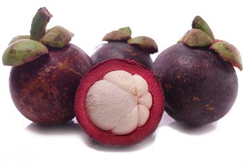 mangosteen