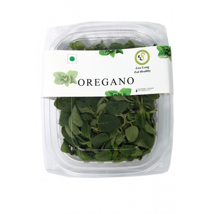 oregano_2