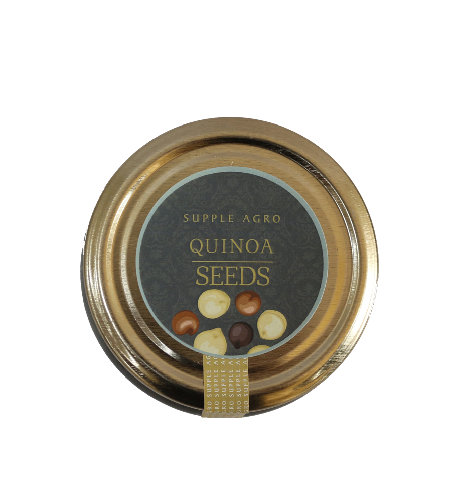 quonia-seed-2