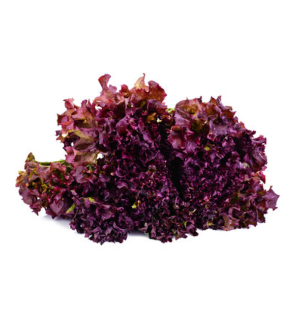 red-lettuce-2