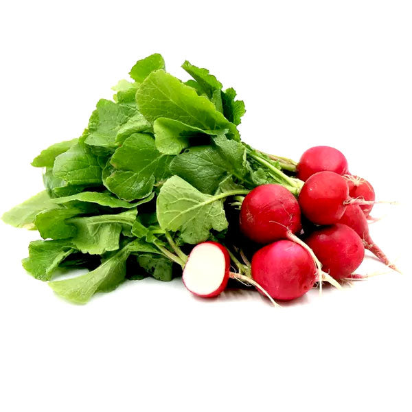 red round radish