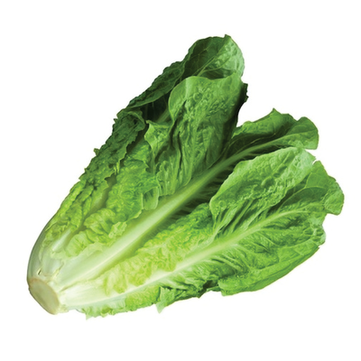 romaine-lettuce