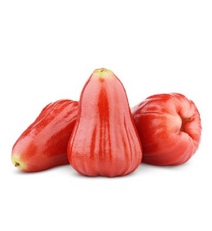rose-apple