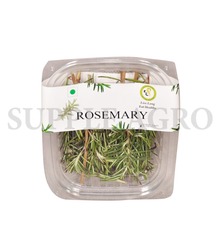 Rosemary