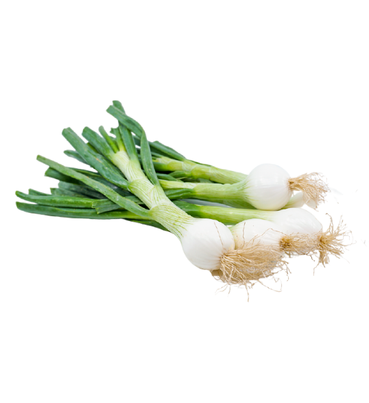 spring onion