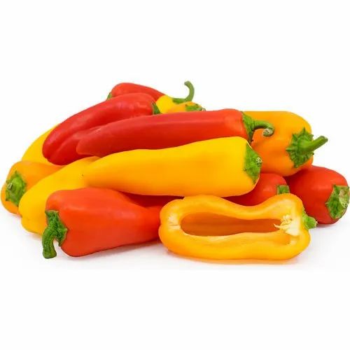 sweet-bell-pepper-500&#215;500