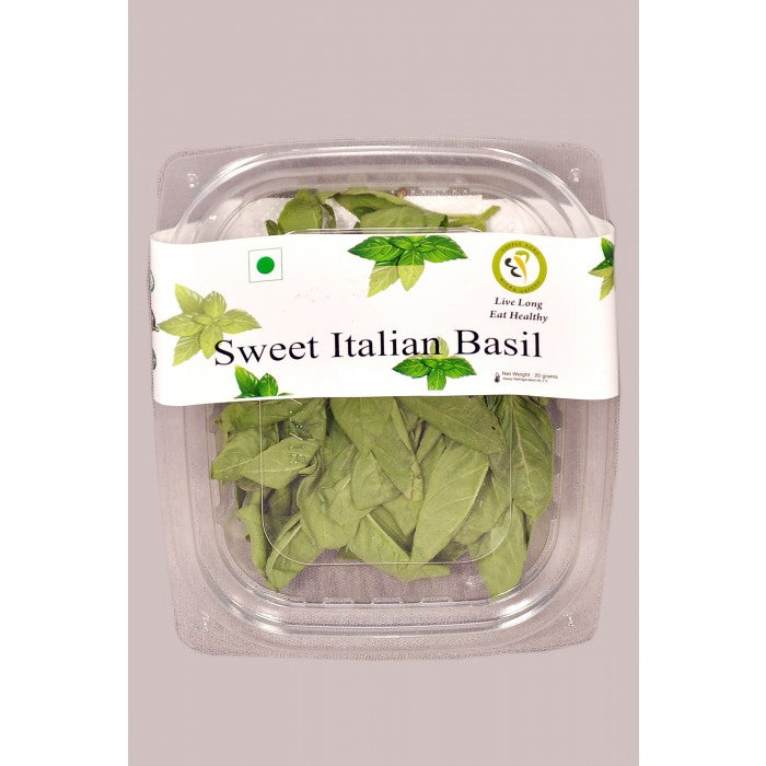 sweetitalianbasil_2