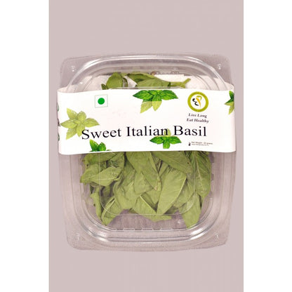 sweetitalianbasil_2