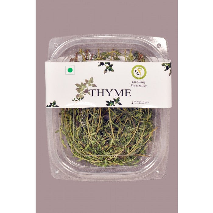 thyme_1