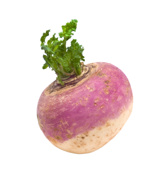 Turnip