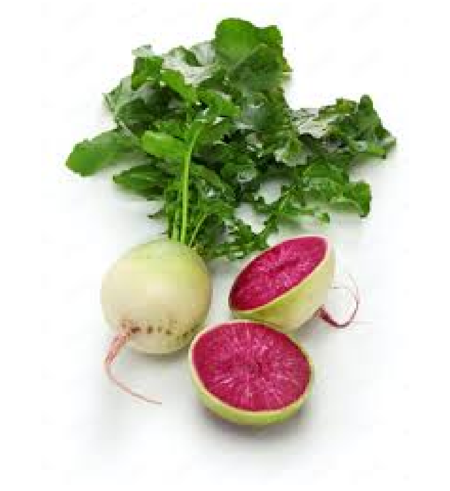 watermelon radish