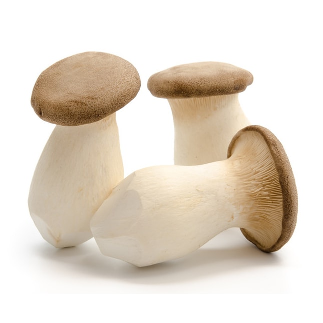 Mushroom(Eryngii)