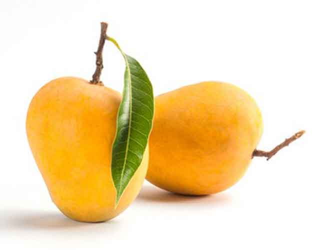 Mango Ratnagiri Alphonso 1 KG