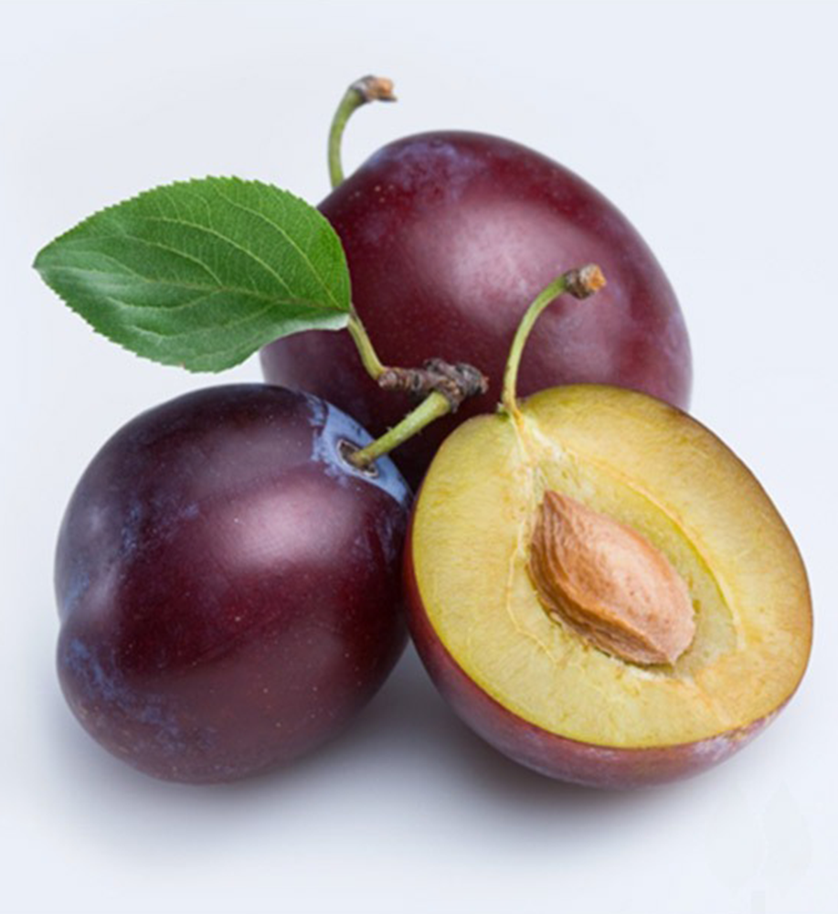 Buy Fresh Prunes Online Fresh Exotic Fruits At Supple Agro 