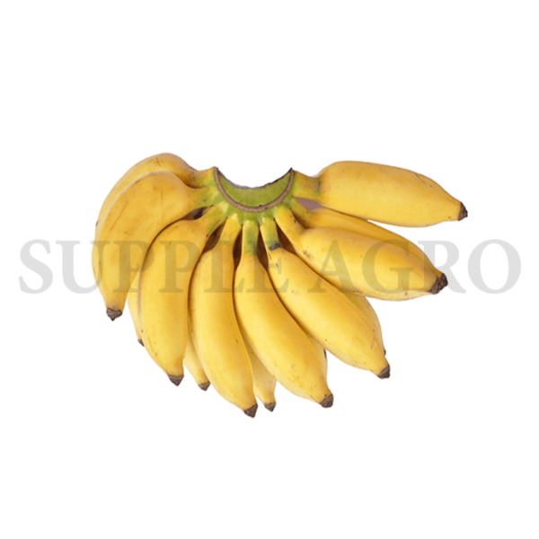 Banana(Yelakki) - Image 2