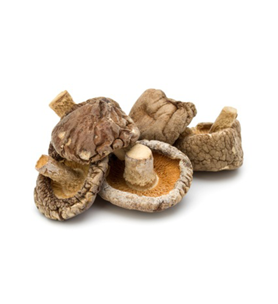 Mushroom Shiitake – Dried