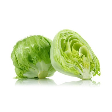 Lettuce_Iceberg_2