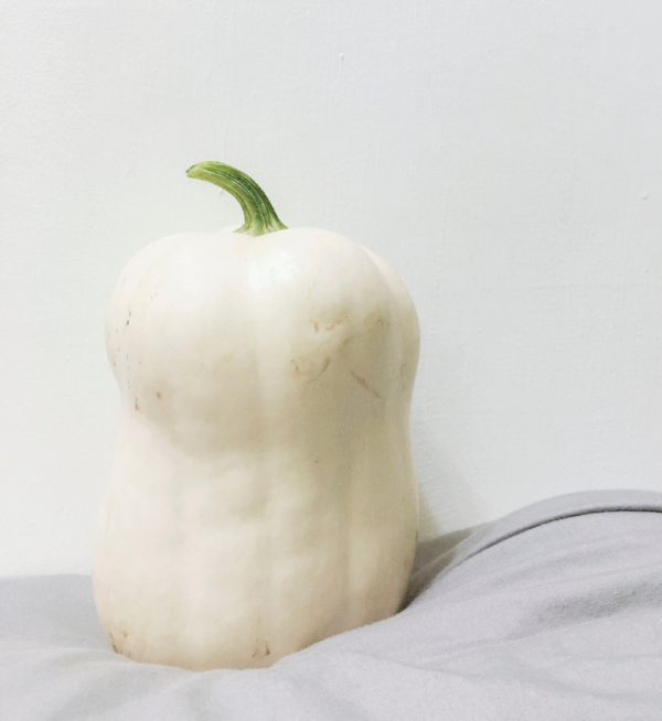 Pumpkin White/ Ash Gourd