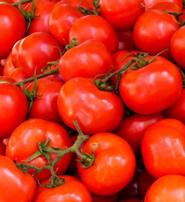 Tomato – 500g