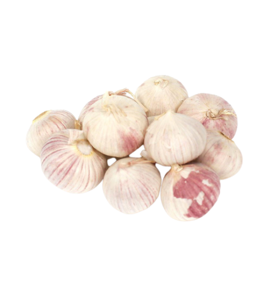 garlic single clove