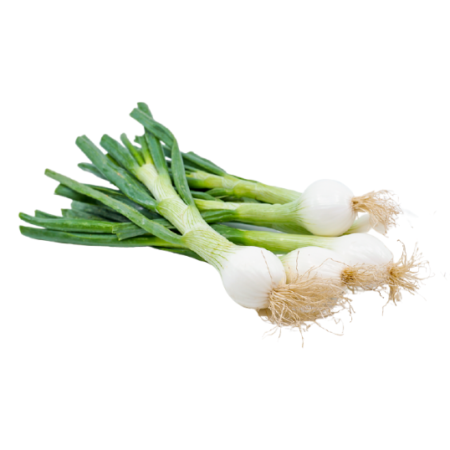 spring onion