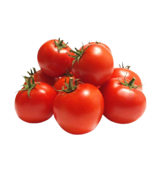 tomato round desi